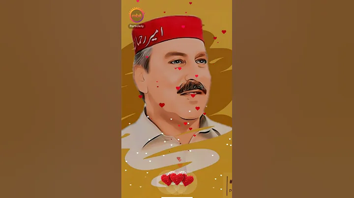 Amir Rehman