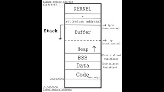 Famous Basic Buffer Overflow into a Variable Net Worth