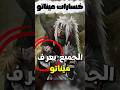 5 مرات خسر فيها ميناتو