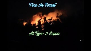 Burning in Forest at Type- I Colony Seppa