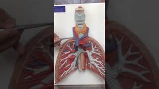VID 20181004 WA0059