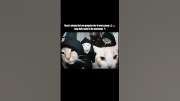 Every Coding Group Has a Gangster Dev 😎 | Relatable Programmer Meme