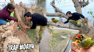 Nayab Birds Pakar Liya Trap Day