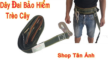 Đai Bảo Hiểm Trèo Cây Dây  Đai Bảo Hộ Bán Thân