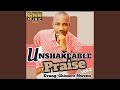 Unshakeable praise vol 2