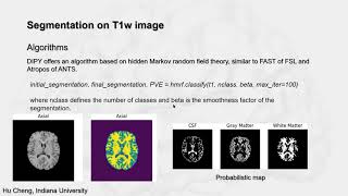 Brain Tissue Classification
