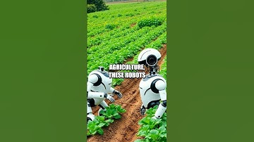 The Rise of Adaptive AI Robots