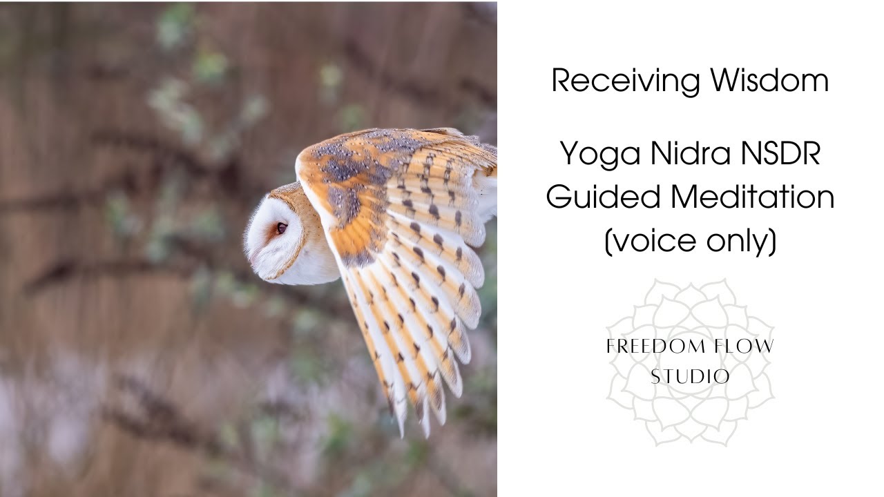 Receiving Wisdom Meditation: a Yoga Nidra / Non-Sleep Deep Rest (NSDR) Guided Meditation