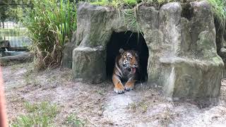 Keisha Tiger Gets a Lakeside Home with a Pool!