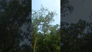 Melihat Alam Semesta dramakeluargachannel vlogkeluarga