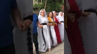 Nesrînoke Musa Silopi