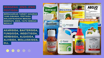 Mengenal Jenis-jenis Pestisida Berdasarkan Target Hama Sasarannya