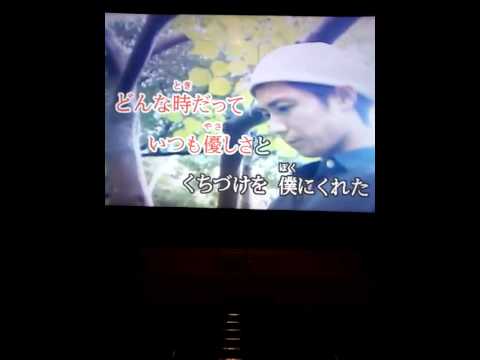 Acid Black Cherry　優しい嘘歌ってみました