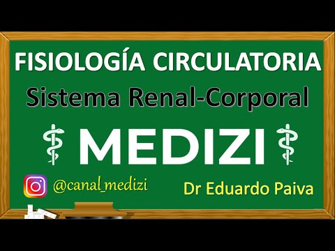 Clase 29 Fisiología Circulatoria - Sistema de líquidos Renal-Corporal (IG:@doctor.paiva)