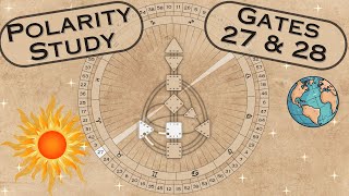 ~ Gates 27/28 ~ Polarity Exploration ~