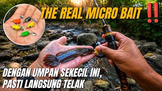 USE THIS BAIT😍‼️🔥FISHING FOR CHANNA LIMBATA IS SUPER EASY‼️TIPS & tricks for Casting limbata 100%... screenshot 3