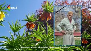 Barzayadan - Pêşmergeyekî Hêza Bergirî Ya Serdema Şoreşa Gelan Li Bajarê Urmiyê Koça Dawiyê Kir