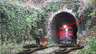 Try not to laugh Snake anaconda try stops the train funny video by sun daily