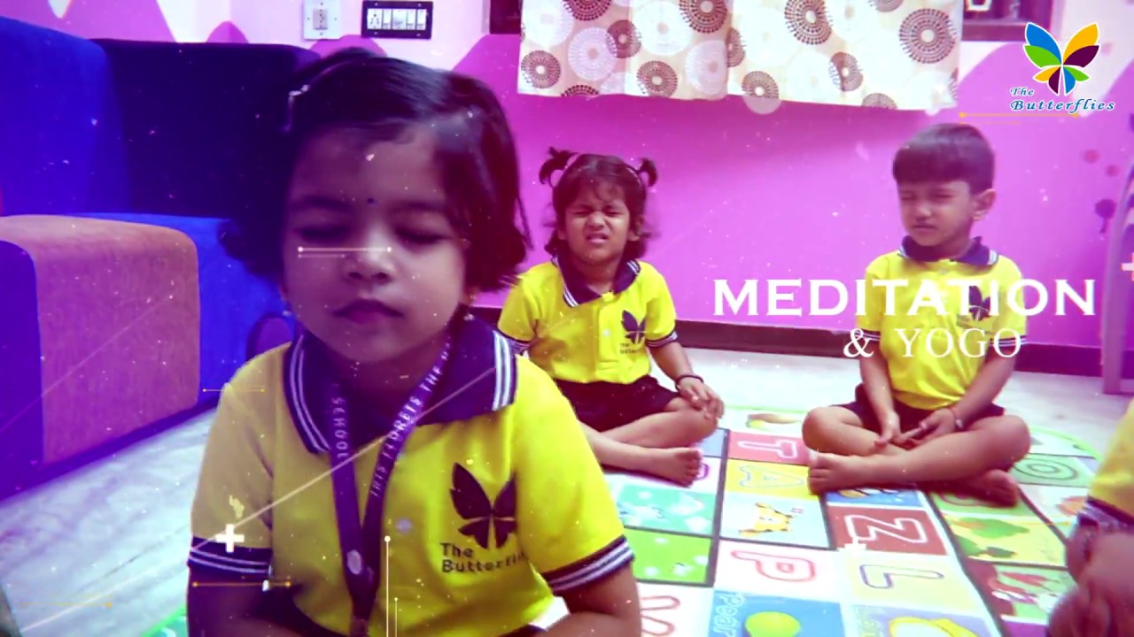 The Butterflies anna nagar puducherry YouTube