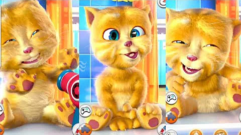 Watch the video about My cat also best video Samachar every time best channel My catbast#Shorts#viral #youtube #baby