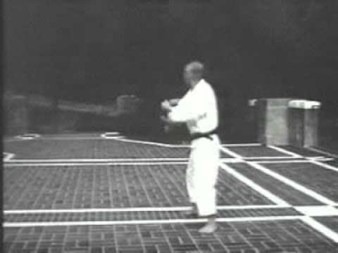 Jitte kata demonstratie Wado Ryu