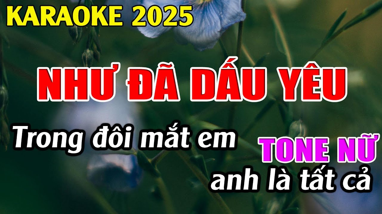 Như Đã Dấu Yêu Karaoke Tone Nữ Karaoke Tuyệt Phẩm - Beat Mới