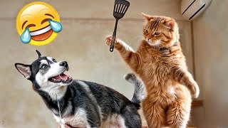 Funniest 2024😽Cats and 🥒 Cucumbers - Awesome Funny Pet Videos 😸🐶Part 25
