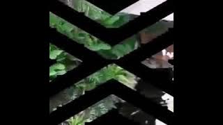 Kang Tohari ila toibah