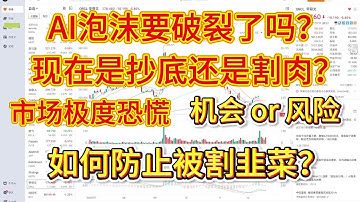 AI泡沫要破裂了么？现在是抄底还是割肉？市场极度恐慌，到底是机会还是风险？如何防止被割韭菜？