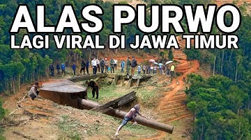 VIRAL..! ALAS PURWO LAGI VIRAL DI BANYUWANGI