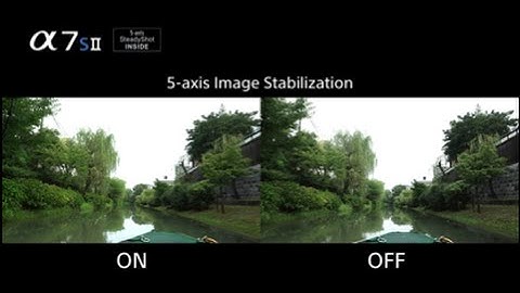 5-axis optical image stabilization | Alpha 7S II | Sony | α