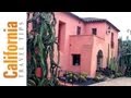 Lotusland Gardens - Santa Barbara Travel Guide | California Travel Tips