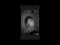 Seeking Information: Nancy Guthrie Video Footage - 01