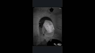 Seeking Information Nancy Guthrie Video Footage 01