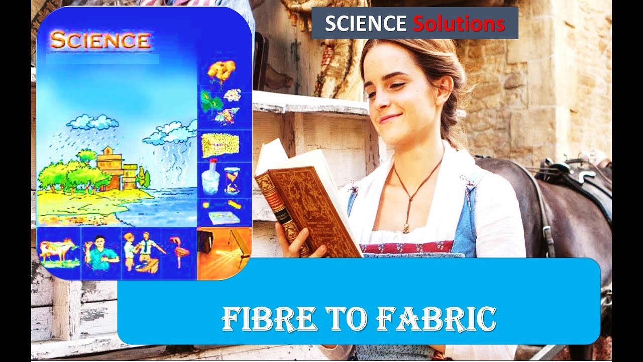 Fibre to Fabric Question and Answers