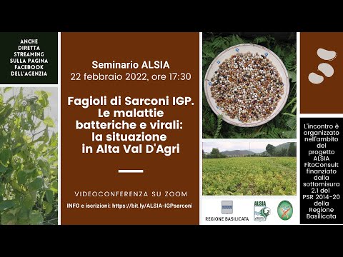 Video: Pseudomonas Syringae sui cetrioli - Riconoscere i sintomi delle macchie batteriche delle foglie