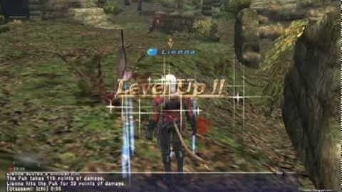 Hiting level 75 on Ninja