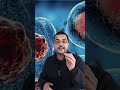 أسرار جسم الإنسان خلايا جسم الإنسان سبحان الله