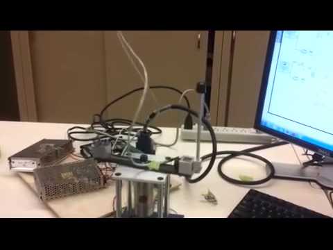 inverted pendulum Segment combined x264 001