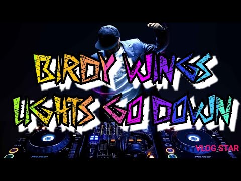 Birdy Wings Lights Go Down Motivate Bounce Remix Visualization 