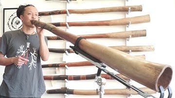 Jesse Lethbridge Didgeridoo key of C# (#3758)