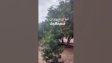 ألسنا أحق بقلب سعيد أما آن للروح أن تستعيد القرار لكم السعادة الروح يوتيوب شورت 