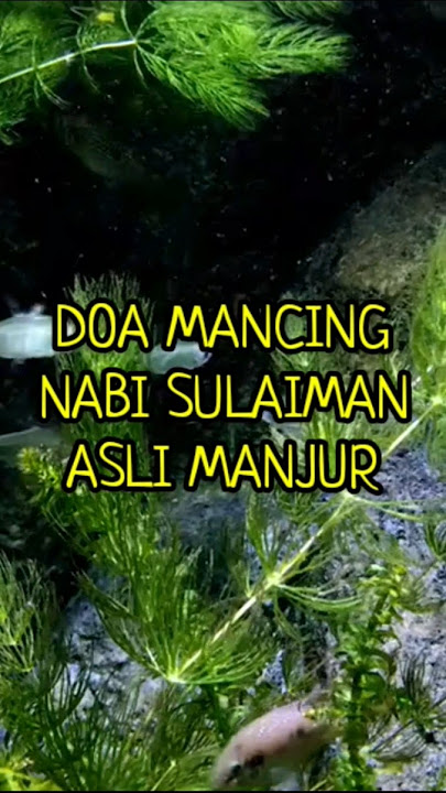 DOA MANCING NABI SULAIMAN #doamancing #shortsvideo #shorts #shortsviral