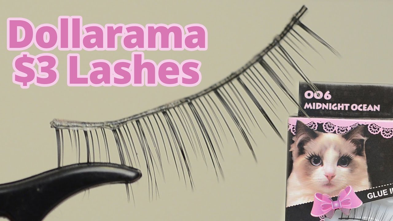 3 Dollarama Mariposa 006 Midnight Ocean Lashes Review & Demo CORRIE