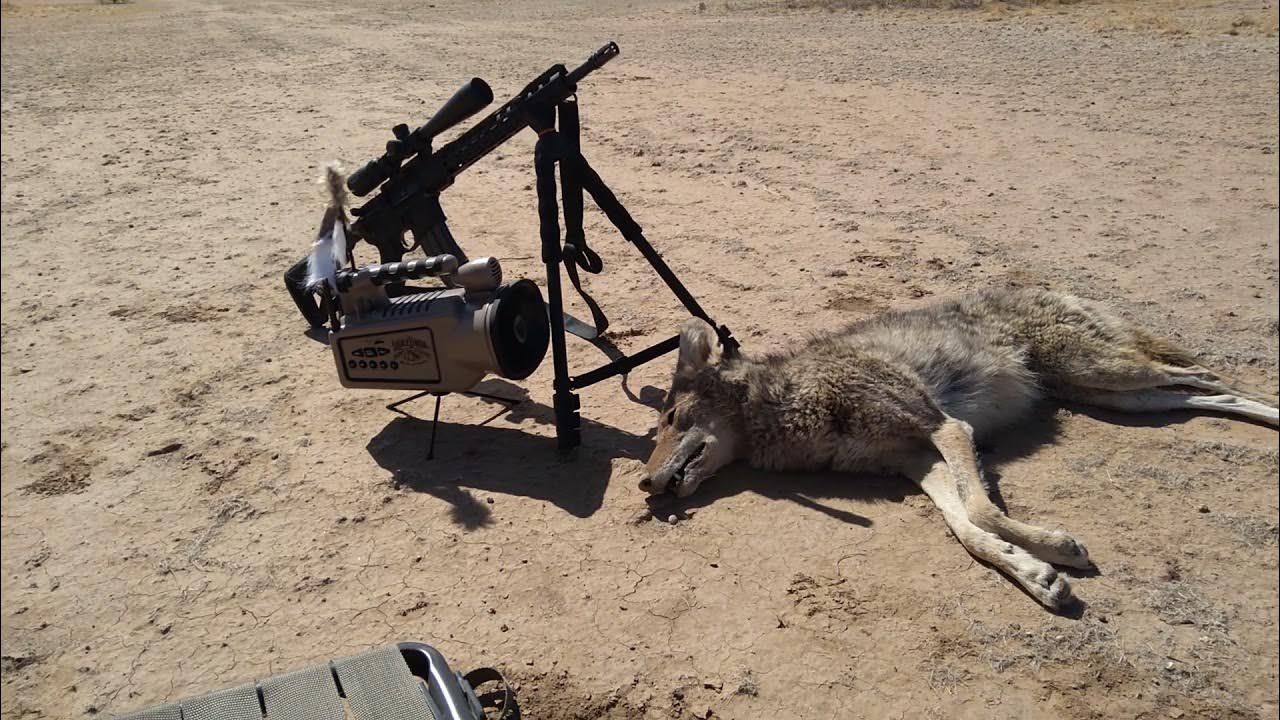 Summer time calling with the Lucky Duck Revolt proves I'm better than my brother and his foxpro