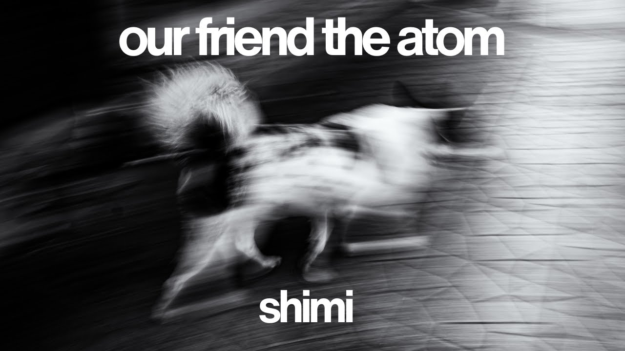 Our Friend the Atom - Shimi