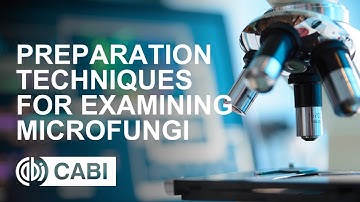 CABI Academy course: Preparation techniques for examining microfungi