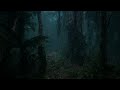 10 HOURS Rainforest Sounds for Deep Sleep | Relaxing Nature Sounds, Night Ambience, Fall Asleep Fast