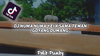 Dj Numa Numa Yei X Sama Teman Goyang Dumang || Dj Viral Tik Tok🎶