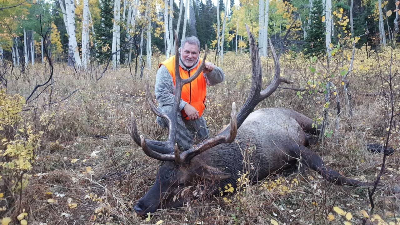 2016 Elk Hunt Video YouTube